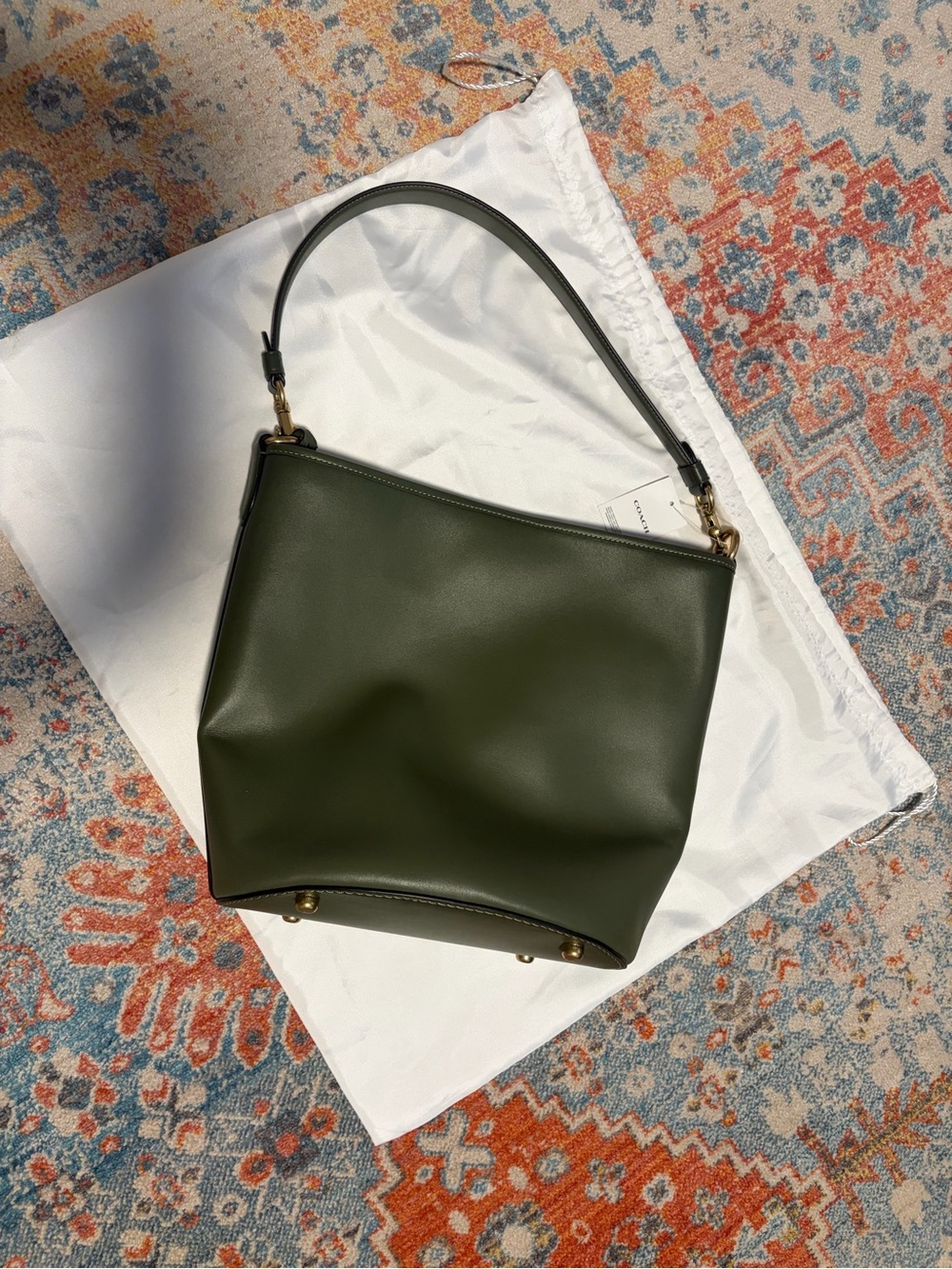 NWT Coach Dakota Archival glovetanned leather large bucket bag in green.